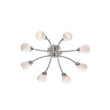 Потолочный светильник Odeon Akron 2469 8C