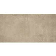 Azulev Active Arena 30x60 см