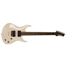 Washburn XMPRO2