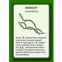 Настольная игра ПРАВИЛЬНЫЕ ИГРЫ 13-01-01 Эволюция