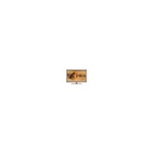 Rolsen RL-23L1005UF Bronze
