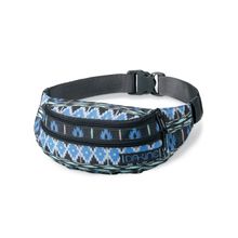 Сумки DAKINE WOMENS CLASSIC HIP PACK MERIDIAN