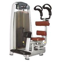 Bronze Gym A9-011 Торс-Машина