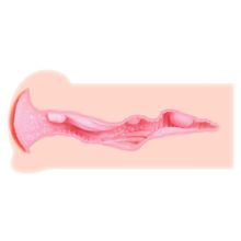 Мастурбатор-вагина с двойным слоем материала Haru телесный