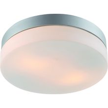 Потолочный светильник Arte Lamp A3211PL-2SI AQUA