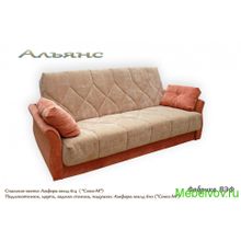 Диван-книжка Альянс