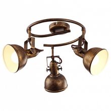 Arte Lamp Спот Arte Lamp Martin A5215PL-3BR ID - 414032