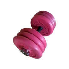 Гантели обрезиненные цветные BARBELL TITAN 32,5кг