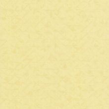 Обои Lutece 51194202