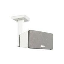 Sonos FLEXSON Ceiling Mount for Play:3