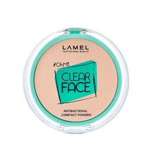 LAMEL Пудра антибактериальная OhMy Clear Face Powder