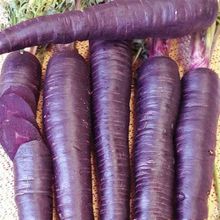 Морковь Пурпур F1, семена