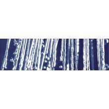 Ibero Privilege Rain Dec A 29x100 см