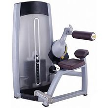 Тренажер "Разгибание спины" Protrain premium 7317