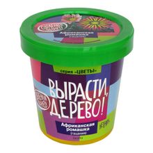 Набор для выращивания ВЫРАСТИ ДЕРЕВО! Африканская ромашка