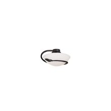 Потолочный светильник Arte Lamp COBRA A2901PL-5BR