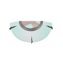 ARTE LAMP  Бра Hall A7895AP-1AB