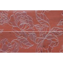 Ape Vernis Rojo Lora Decor Set (2) 40x60 см