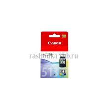 Струйный цветной картридж Canon CL-513 (color) для PIXMA-MP240 MP260 MP480 