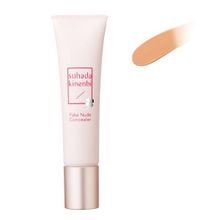 Корректор для лица универсальный тон 2 SPF20 PA++ Sana Skin Day Flawless Nude Concealer 15г