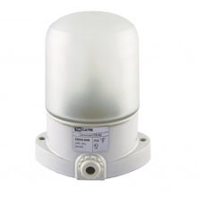 TDM Electric Светильник НПБ400 для сауны настенно-потолочный белый, IP54, 60 Вт, белый, TDM