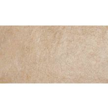 Realonda Kiev Beige 31x56 см