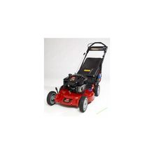 Газонокосилки бензиновые TORO 20092 C