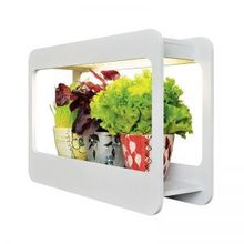 Светодиодный фитосветильник Uniel ULT-P30-15W SPFS IP40 White