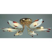 Люстра Аргентина MW-Light 284010106