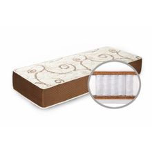 Basis 2 Ortofoam 3 multi | Wilordy.ru
