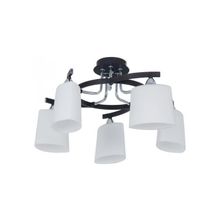 CITILUX  Люстра потолочная Тайфун Citilux CL136151