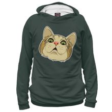 Худи Я-МАЙКА Кот офигел