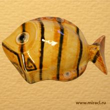 Керамический Декор Рыба Средняя Круглая