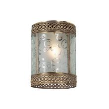 Потолочный светильник Odeon Dimini 2559 1C