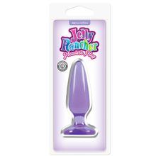 Малая фиолетовая анальная пробка Jelly Rancher Pleasure Plug Small - 10,2 см. Фиолетовый