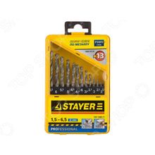 Stayer Profi 29602-H13-M