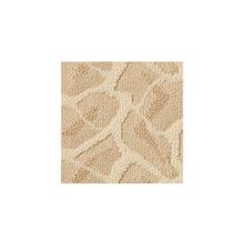 Amorim Concrete