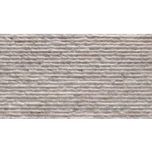 Realonda Alpes Gris Deco 31x56 см