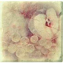 Декор Cir Marble Age Ins.Botticino S 3 Beige (Персик+Виноград) 100х100