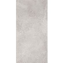 Arcana Tortona Gris R 59.3x119.3 см