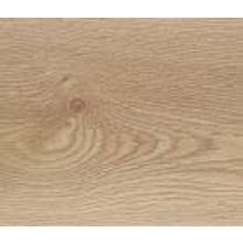 Дуб Монблан