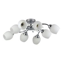 Rivoli Потолочная люстра Rivoli Justine 3012-308 Б0050313 ID - 229135