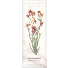 Керамическая плитка Kerama Marazzi Ноттингем NTA8815005 Цветы грань декор 15х40