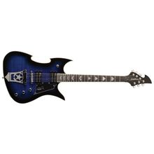 Washburn PS600