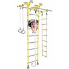 Midzumi Niji Ton Basketball Shield
