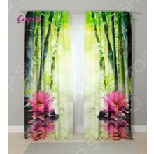 Сирень «Кувшинка и бамбук»