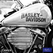 Фреска Applico 530019