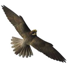 Отпугиватель птиц визуальный Хищник-2 (32х80 см)