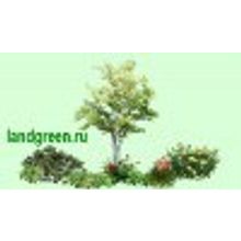 Ландшафтная композиция с открытым центром