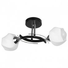 Toplight Светильник на штанге TopLight Lia TL7380X-02BC ID - 423115